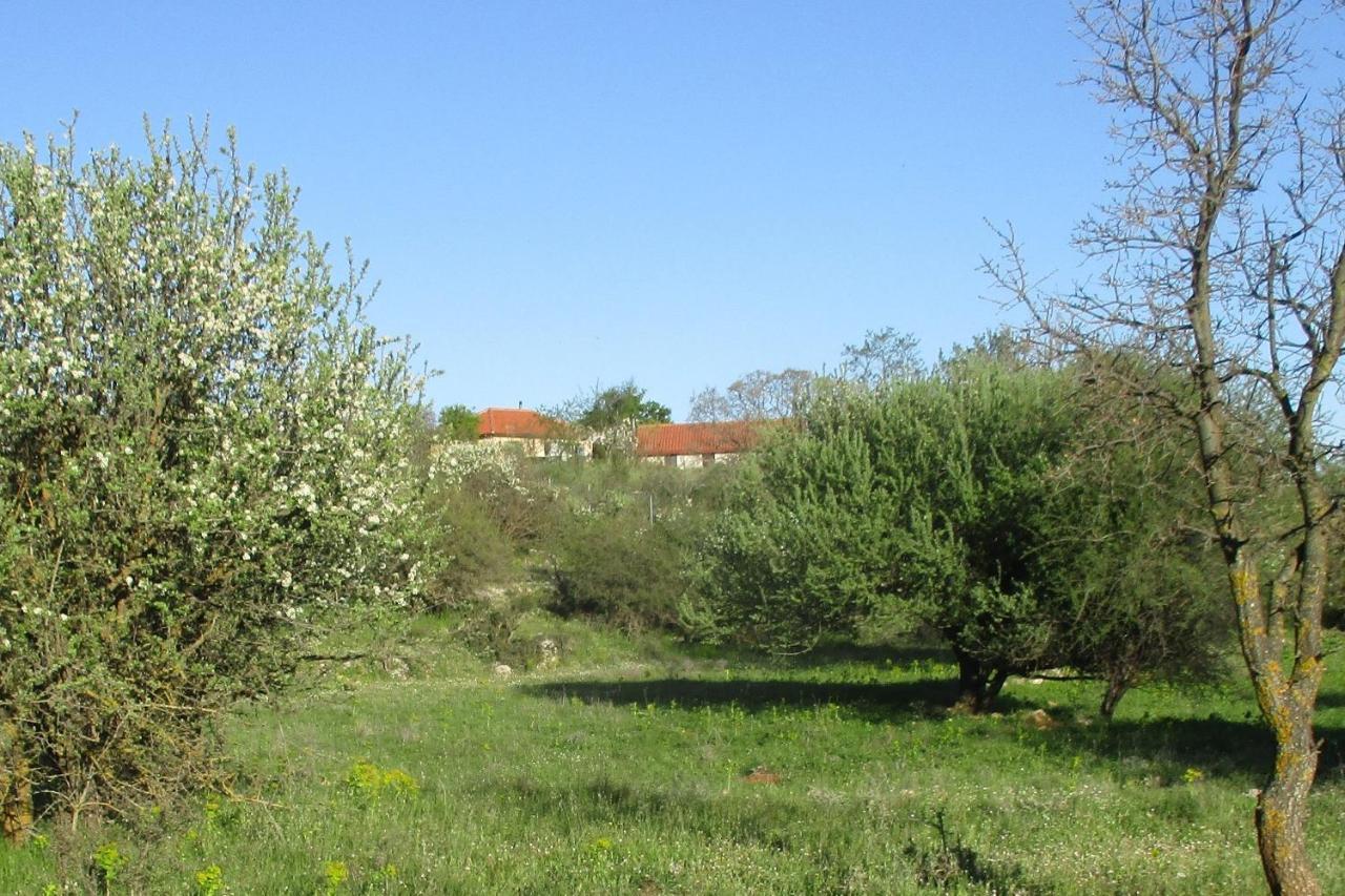 Stone House In A Quiet Landscape, Leonidion Villa ภายนอก รูปภาพ
