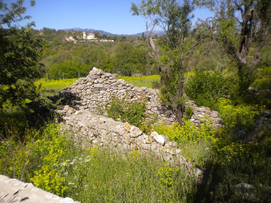Stone House In A Quiet Landscape, Leonidion Villa ภายนอก รูปภาพ